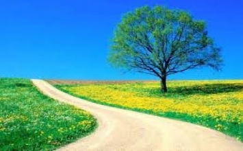 Điều quan trọng trong cuộc đời